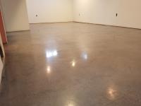 Polished Basement in Greenwood Village